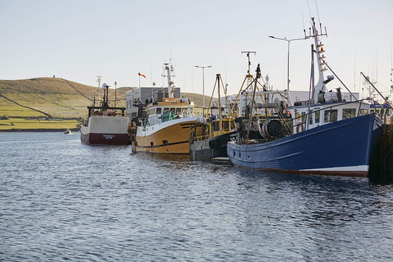 The Dingle Tasting Tour